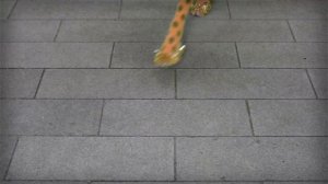 AMAMI - MinaCelentano