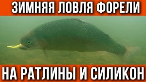 Форель со льда, на силикон.