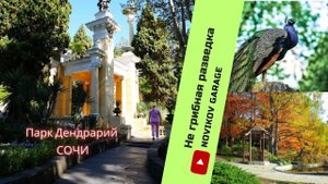 НЕ Грибная разведка : Сочинский дендрарий, октябрь 2023