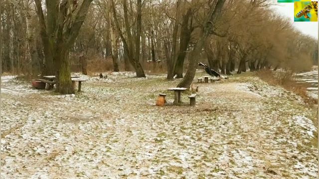 40 СОТОК ПОД ПРОМЫШЛЕННУЮ ПАСЕКУ. ПЧЕЛОВОДСТВО КАК БИЗНЕС.BEEKEEPING. LAND FOR AN INDUSTRIAL APIARY смотреть онлайн