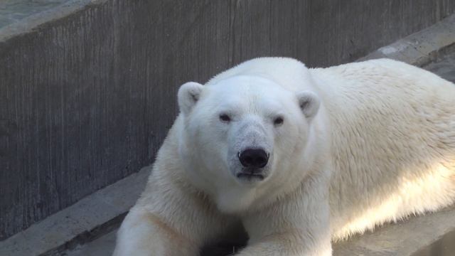 Кай релаксирует в одиночестве 18 08 2021 смотреть онлайн
