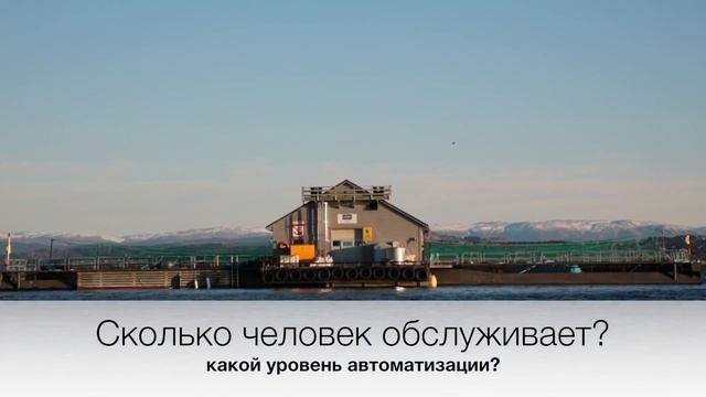Разведение рыбы в садках. Опыт.