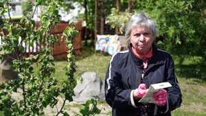 СРОЧНО! Если Тля и Муравьи Атакуют Яблоню ? Что делать с Вредителями Плодовых Деревьев сад