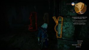 Witcher 3 - Cave South of Trottheim Statue Puzzle Solution