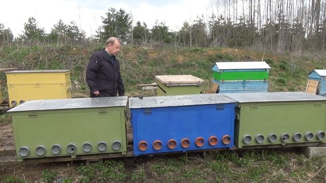 Метод пчеловодства в лежаках - 3 улья лежака и 2 пчелосемьи смотреть онлайн