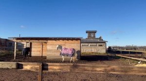 Делаем хороший грунт в леваде , этапы и стоимость.