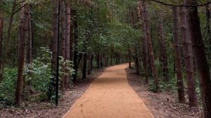 Как заслужить уважение?