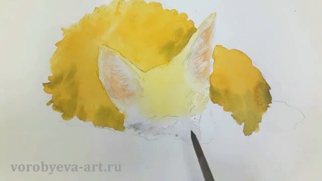 Фенек. Акварельная анималистика.