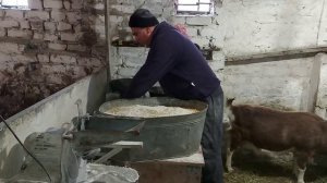 Чем кормлю своих животных????Моя дроблёнка!!!!