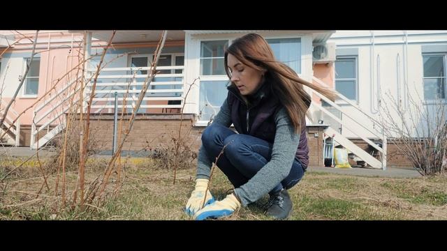 ЧЕТЫРЕ ШАГА НА ПУТИ К ХОРОШЕМУ УРОЖАЮ МАЛИНЫ смотреть онлайн