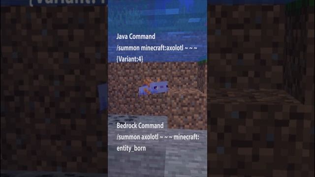 How to Get a BLUE Axolotl Minecraft 1.17 | Java & Bedrock | #shorts