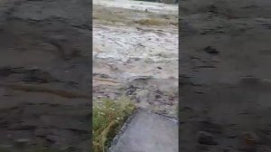 Река Нальчик после дождя
