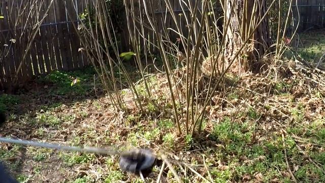 How to Use the Brushcutter Attachment for the ECHO SRM-3020U смотреть онлайн