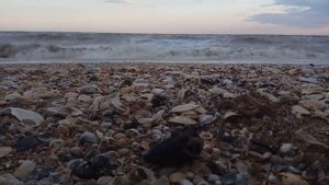 КАМЫШЕВАТСКАЯ   АЗОВСКОЕ МОРЕ ОТДЫХ