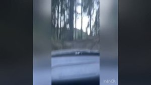 Mitsubishi Pajero Pinin Off Road