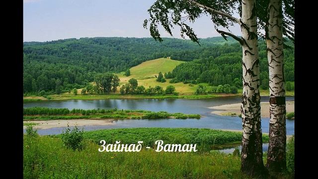 Зайнаб - Ватан. смотреть онлайн