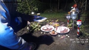 Лисийрай Я,, Молли и Лаки 18 янв.(Foxheaven Me,, Molly and Lucky Jan 18.) 02