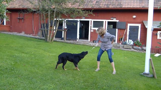 Switch game at Vidagård смотреть онлайн