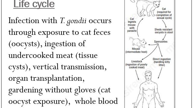 Lecture 7 смотреть онлайн