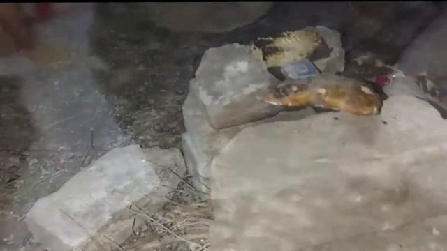 Урок по приготовлению вкусного и свежего стейка смотреть онлайн