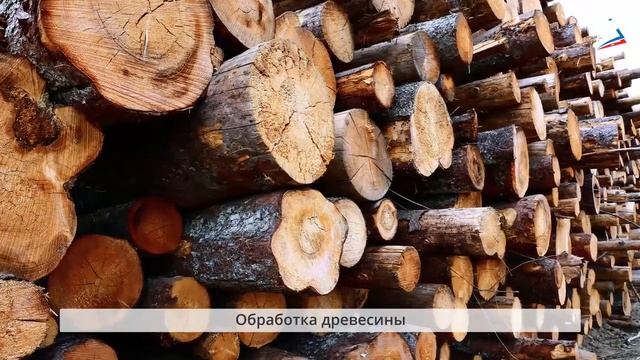 Материалы для производства материальных благ. Технология. 5 класс смотреть онлайн