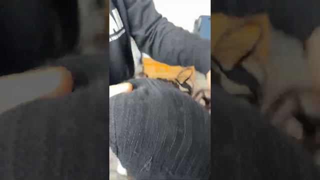 PRETTY HAIR смотреть онлайн