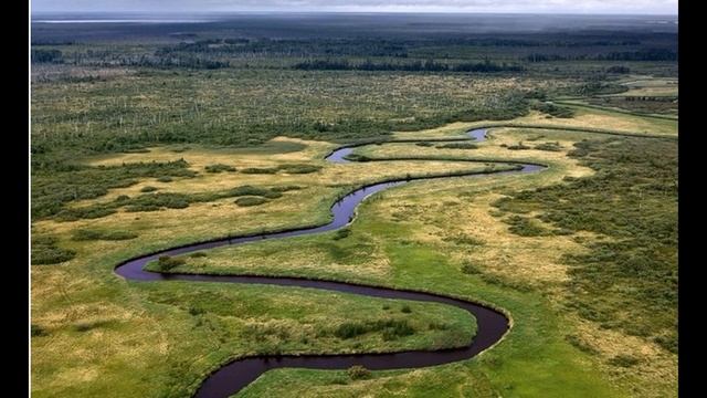 Без СО2 мы все умрем. Васюганские болота и катаклизмы прошлого. смотреть онлайн