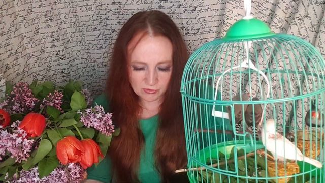 И жесть, и сталь смотреть онлайн