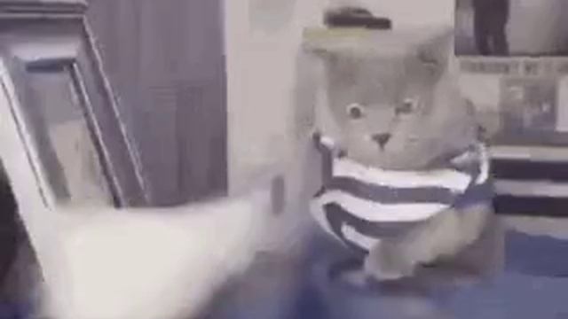 #прикол#уборка
