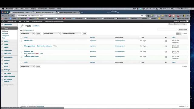 SEO Friendly URL's -Wordpress Permalink Structure смотреть онлайн