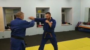 Не академический выход на Коте Гаяси от удара