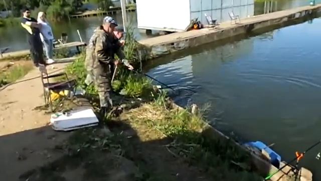 Платная рыбалка Пирогово - Коргашино смотреть онлайн