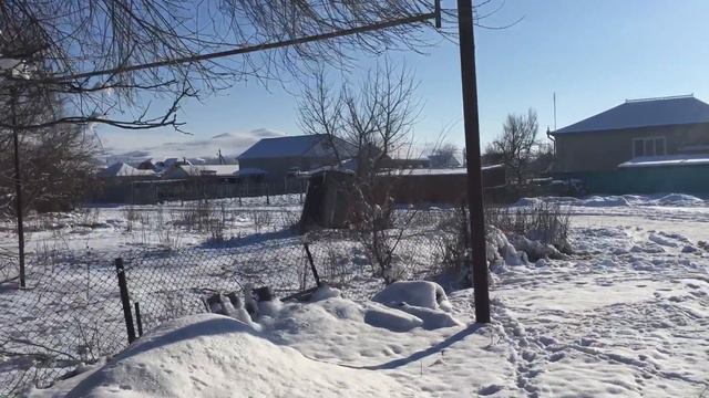 Икон-Халк (Тохтамыш) смотреть онлайн