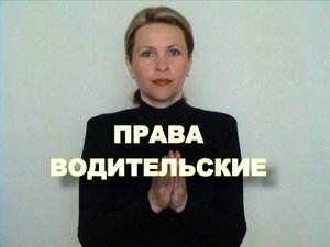 ЖЕСТОВЫЙ ЯЗЫК. СЛОВАРЬ. Права (водительские)