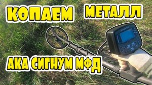 Поиск Металла  с АКА СИГНУМ