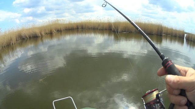 Веселовское водохранилище 2021