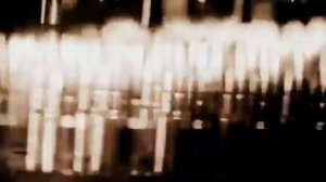 Nautilus Pompilius Красные листья