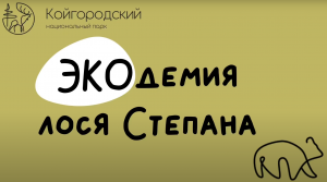 Экологический онлайн урок национального парка «Койгородский», посвященный Всемирному дню леса