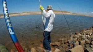 Сазан стащил удочку (Рыбалка на сазана)