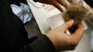 Гречневая каша быстрого приготовления. Вы удивитесь!!!
