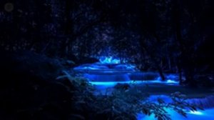 Усни за 3 минуты с шумом Большого Ручья и Звуками ночных Птиц!