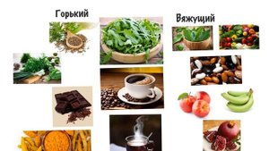 Вата Доша. Обретение Баланса. Часть 4. Аюрведа для начинающихся