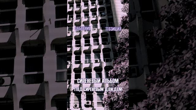 Забвение, позиция - Сиреневый альбом (Под сиреневым дождём) #забвение #позиция #постпанк