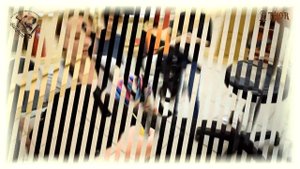 Как мыть и стричь дратхаара? - THOR - МиШГ ВИКОНТ