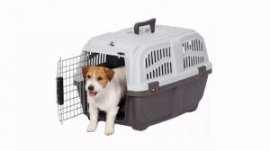 Стоит ли покупать переноску MPS SKUDO 36x55x35см серый отзывы очень удобная перевозка для собак