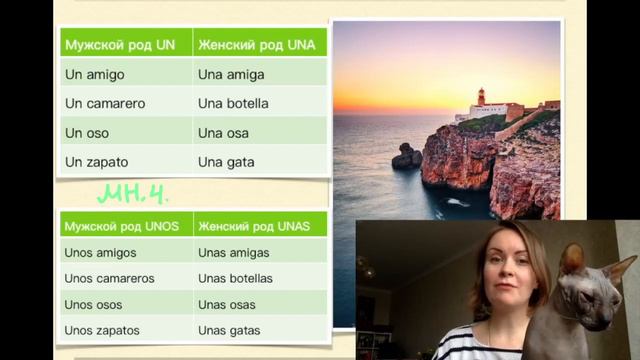 Испанский язык для начинающих: артикли UN, UNA, UNOS, UNAS, EL, LA, LOS, LAS // Español A1 смотреть онлайн