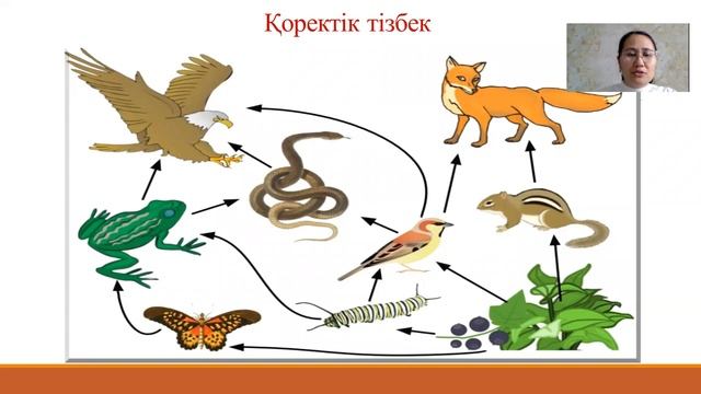 IV тоқсан, 8 сынып, Биология, Экожүйелердің құрамбөліктері  Су және құрлық экожүйлері
