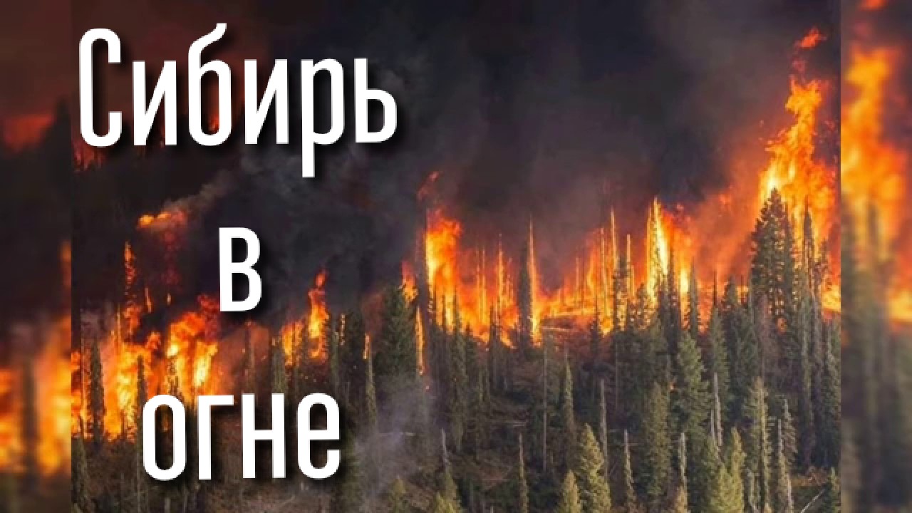 Пожар в сибире // это не нотердам.. смотреть онлайн