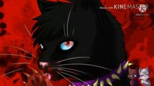 коты воители молодая кровь