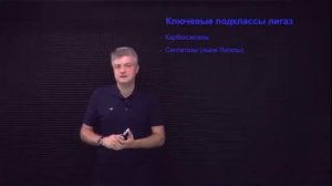 Биохимия: класс и подкласс фермента